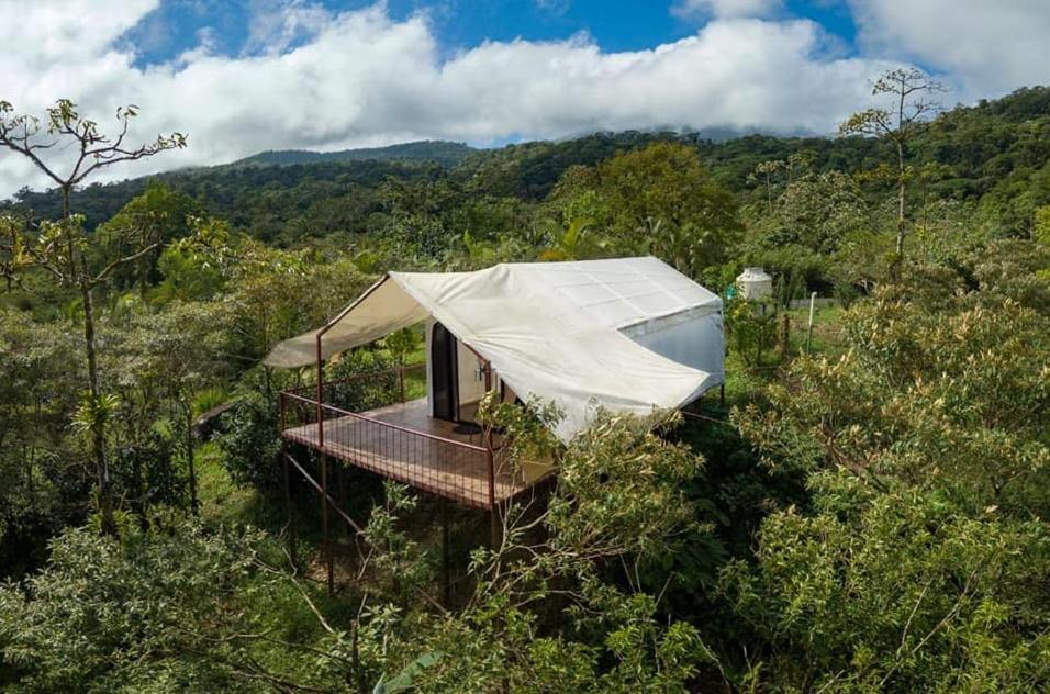 Garza Del Sol Glamping Rio Celeste Buganvilia ภายนอก รูปภาพ