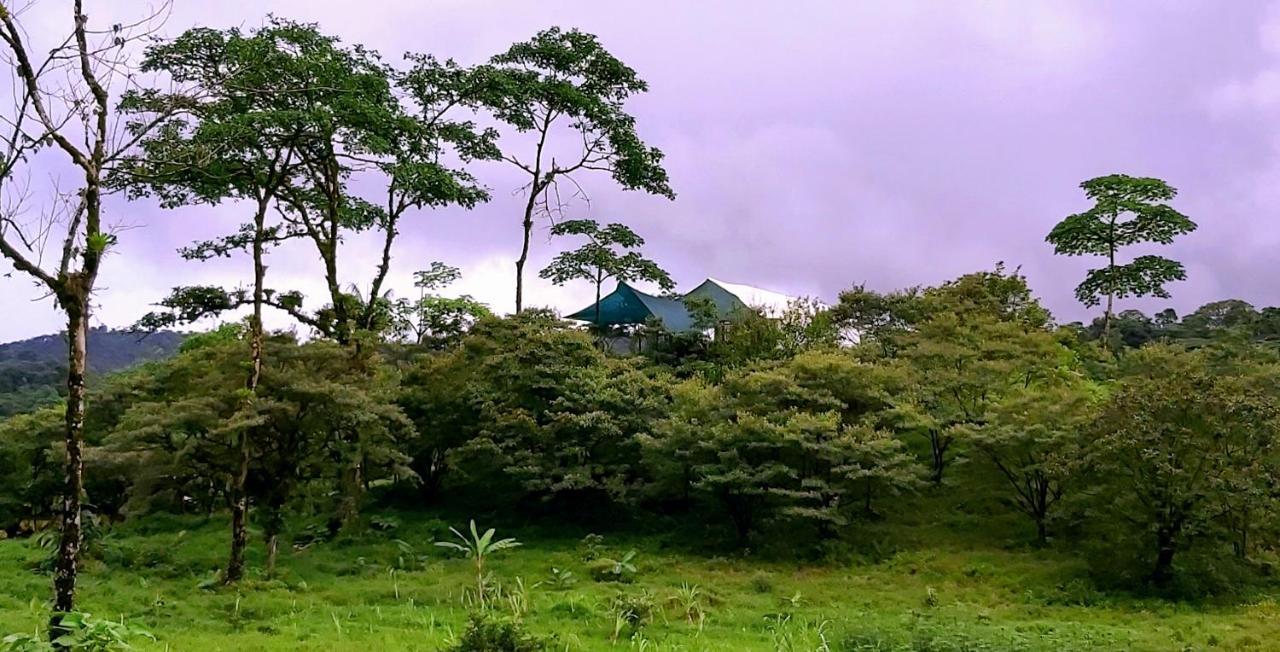 Garza Del Sol Glamping Rio Celeste Buganvilia ภายนอก รูปภาพ