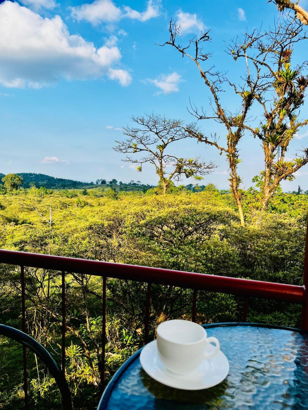 Garza Del Sol Glamping Rio Celeste Buganvilia ภายนอก รูปภาพ