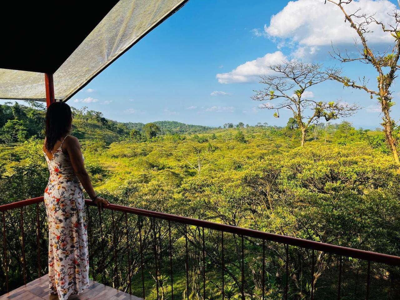 Garza Del Sol Glamping Rio Celeste Buganvilia ภายนอก รูปภาพ